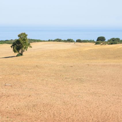 Rinnovabili • Giornata mondiale contro desertificazione siccità 2024: 18% dell’Italia a rischio