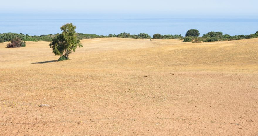 Rinnovabili • Giornata mondiale contro desertificazione siccità 2024: 18% dell’Italia a rischio