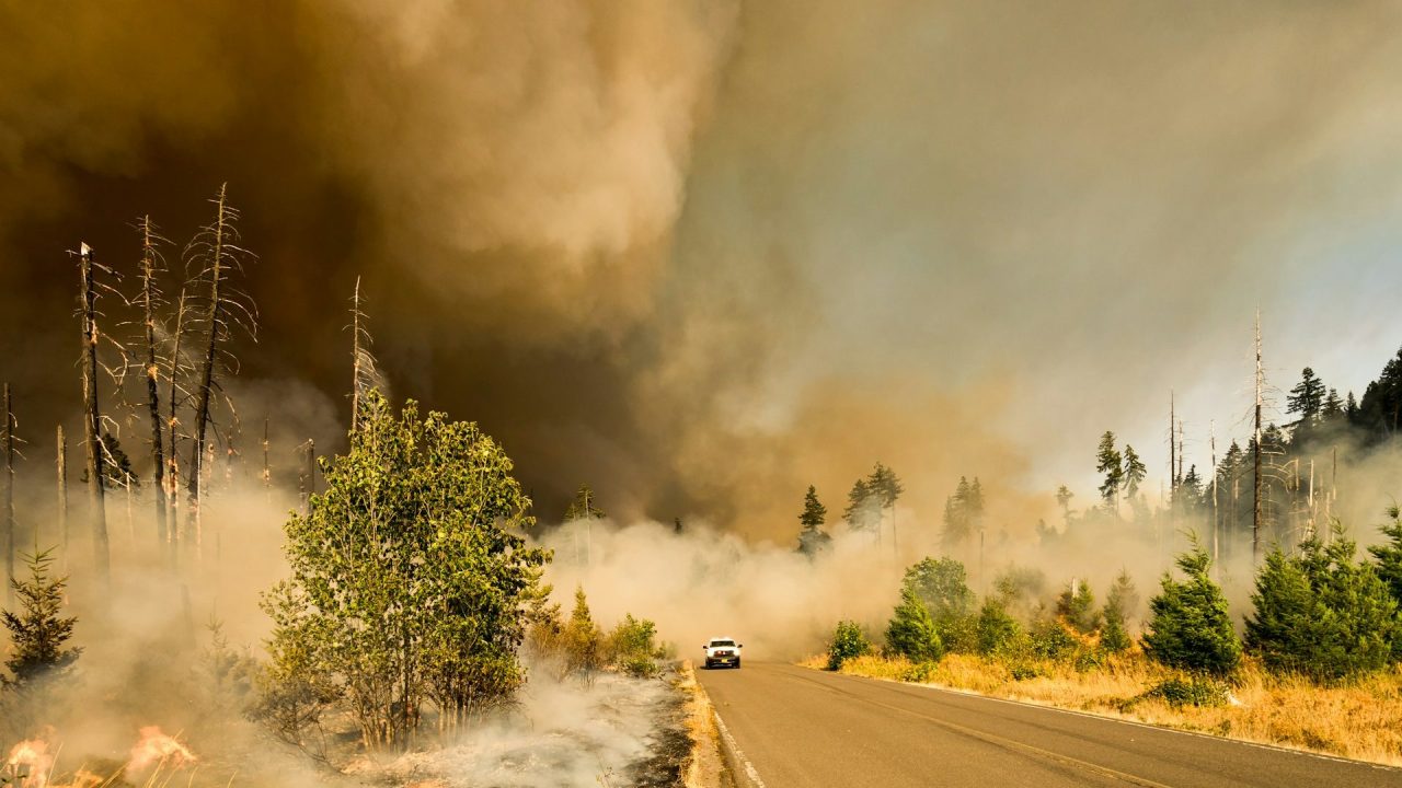 Rinnovabili • Incendi in Canada: nel 2023 emessi 3 miliardi di tonnellate di CO2