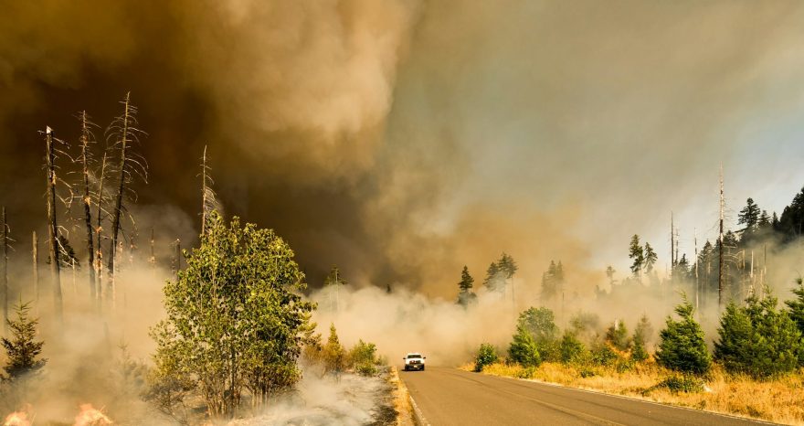 Rinnovabili • Incendi in Canada: nel 2023 emessi 3 miliardi di tonnellate di CO2