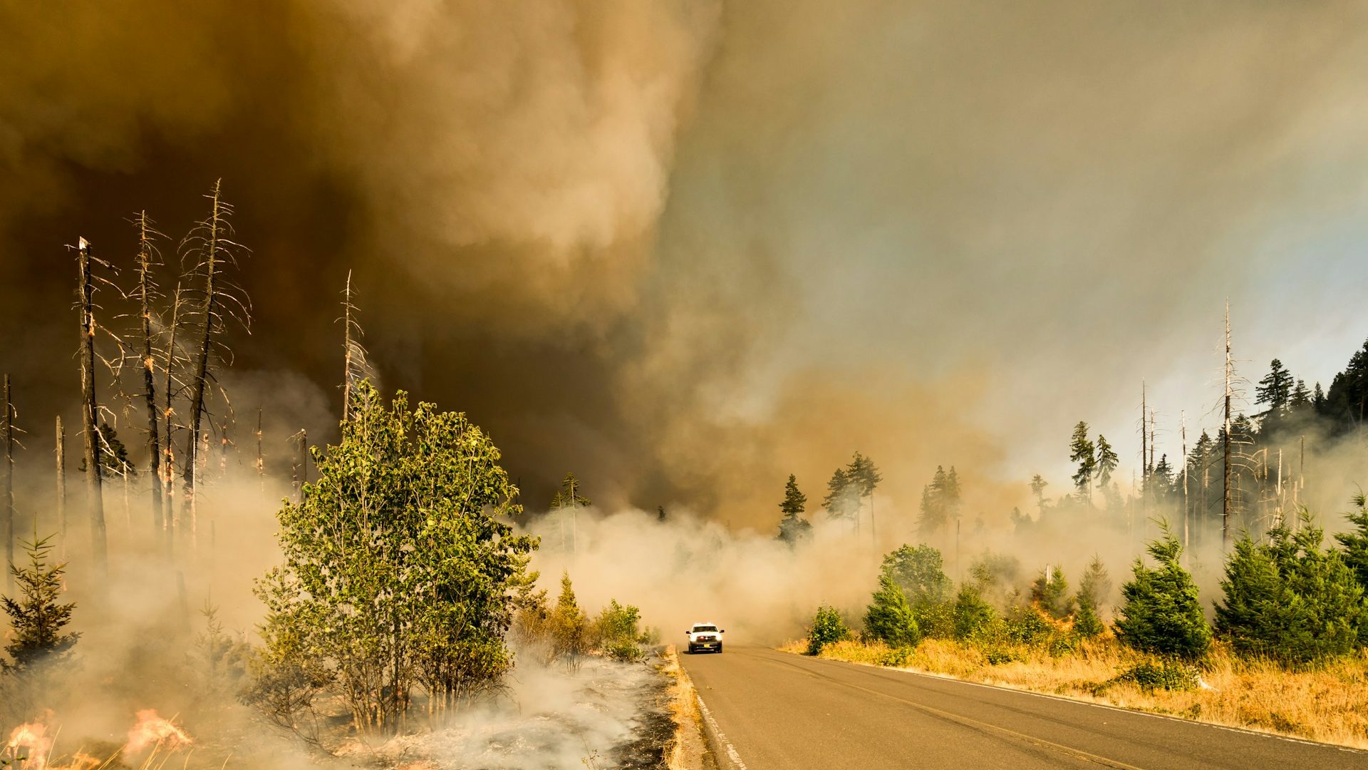 Incendi in Canada: nel 2023 emessi 3 miliardi di tonnellate di CO2