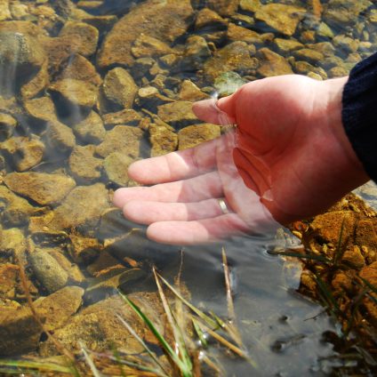 Rinnovabili • ridurre l'inquinamento da pfas