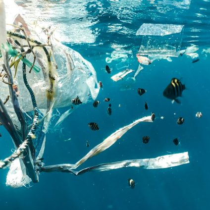 Rinnovabili • riduzione della plastica negli oceani