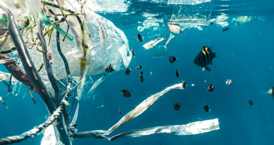 Rinnovabili • riduzione della plastica negli oceani