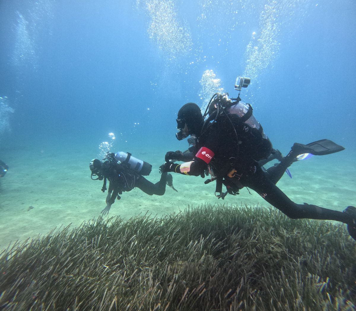 Le summer school 2024 di E.ON insegnano come tutelare la biodiversità marina