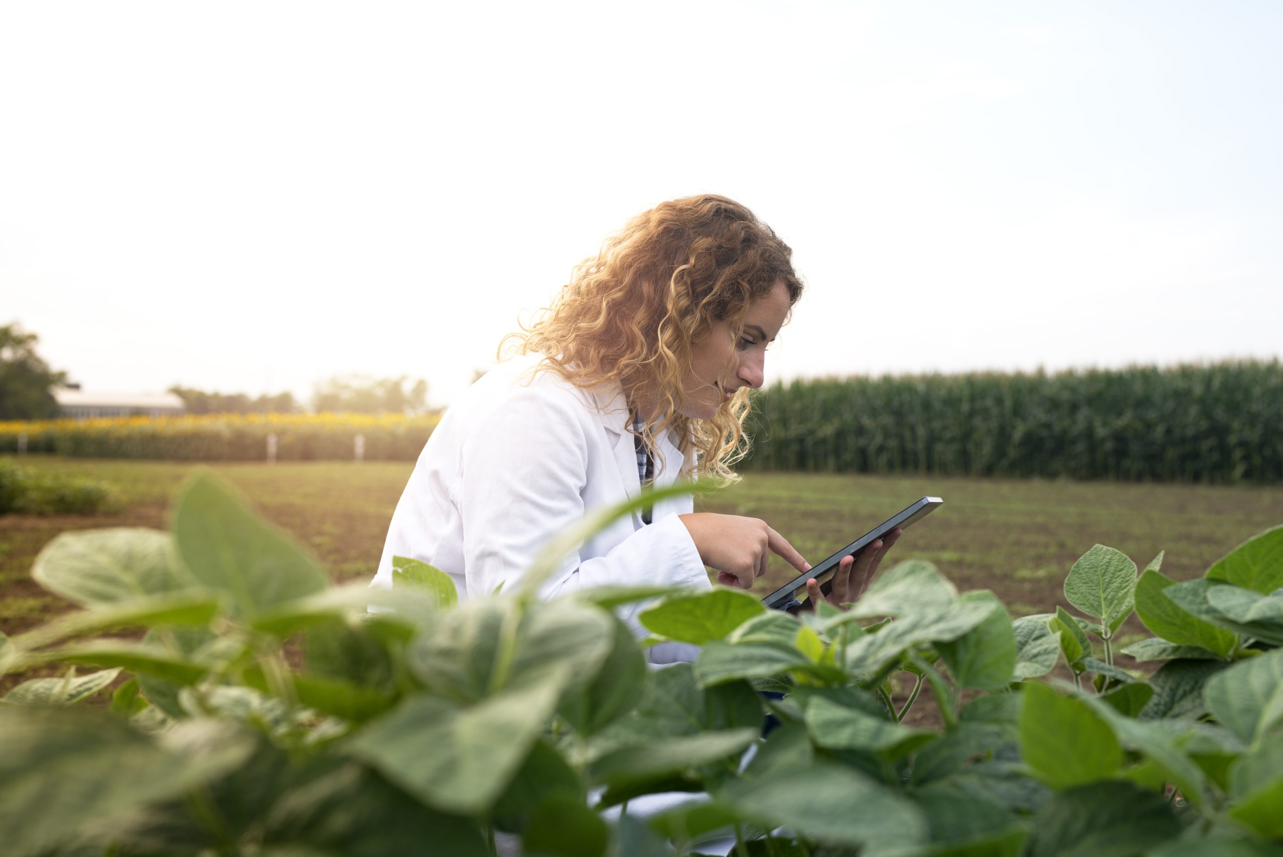 C’è un gap di competenze per la transizione eco-energetica nell’agroalimentare