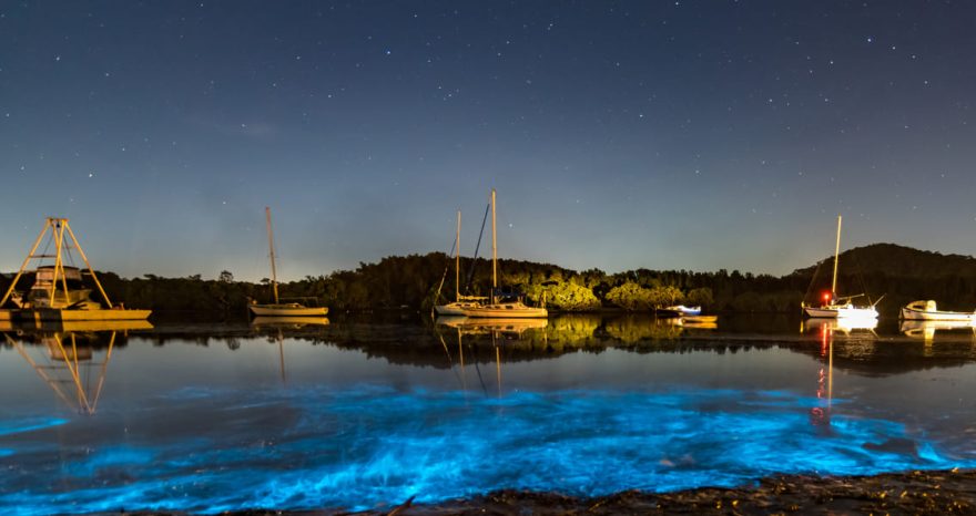 Rinnovabili • Gestione sostenibile acqua: 3 innovazioni italiane