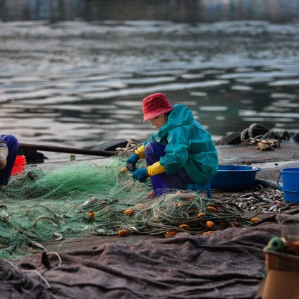 Rinnovabili • La pesca nei mari europei incide sulla salute degli ecosistemi