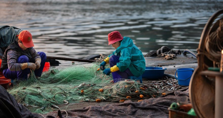 Rinnovabili • La pesca nei mari europei incide sulla salute degli ecosistemi