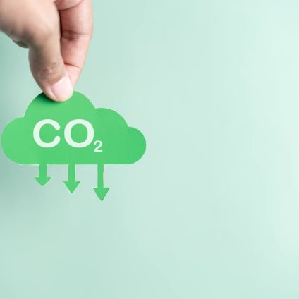 Rinnovabili • Rimozione della CO2: capacità mondiale a 2,3 GtCO2 nel 2050