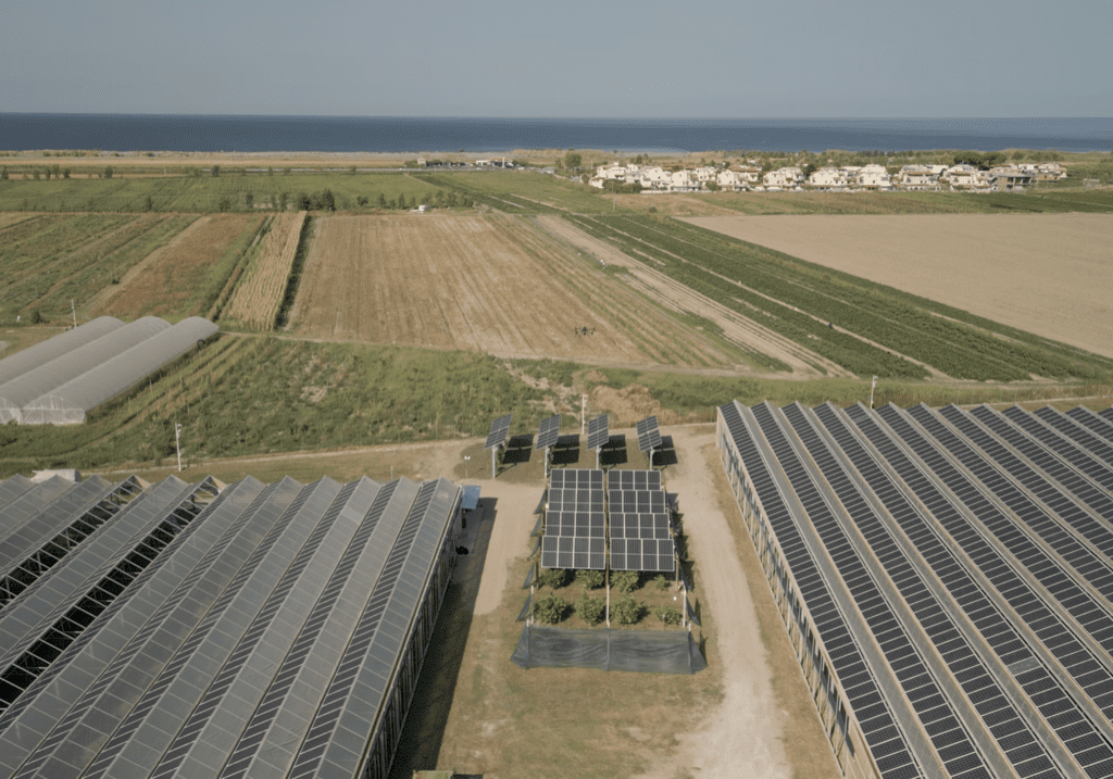 Nasce in Calabria il polo agrivoltaico che testa il futuro