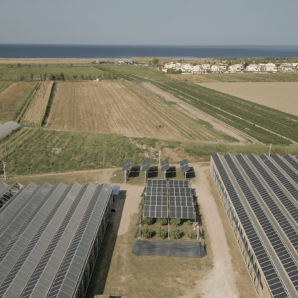 Rinnovabili • Nasce in Calabria il polo agrivoltaico che testa il futuro