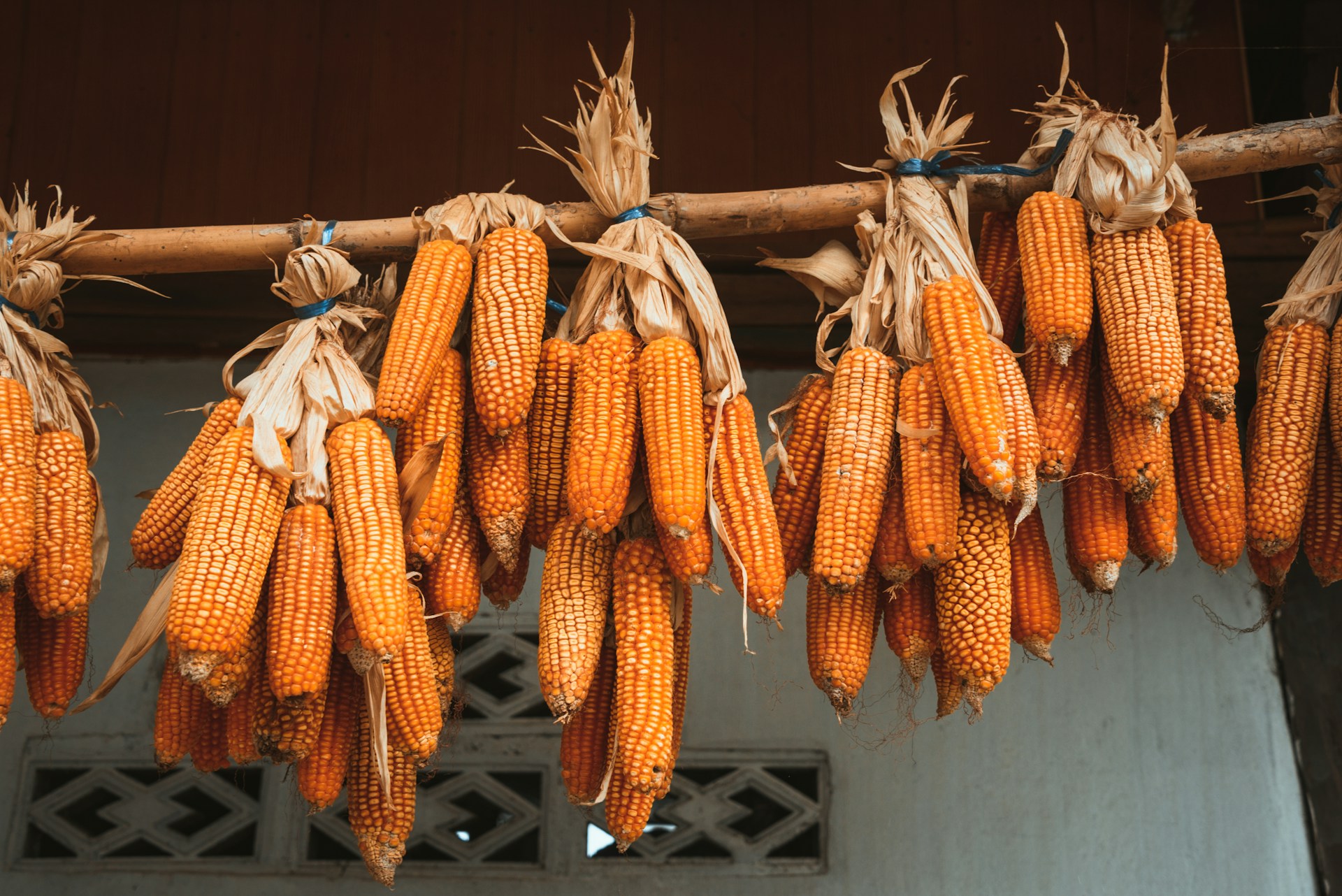 carburante dagli scarti agricoli