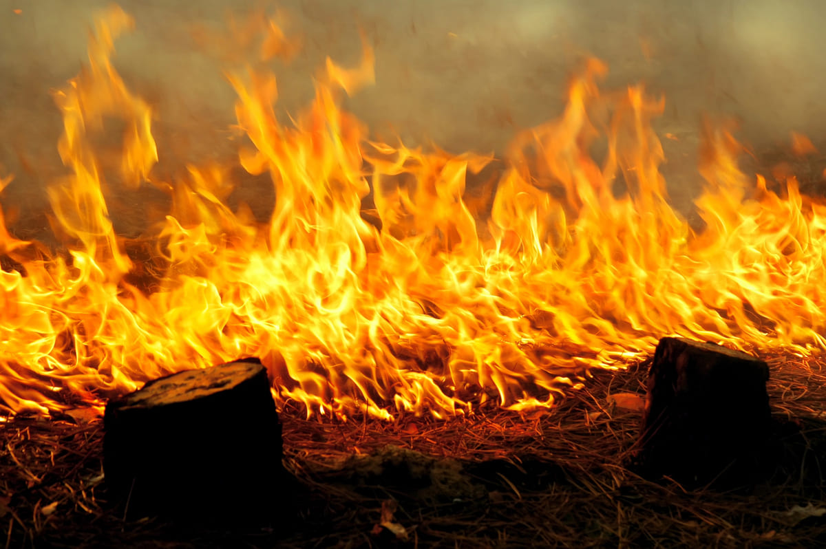 Rinnovabili • Incendi Amazzonia e Pantanal: record, mai così tanti da 20 anni