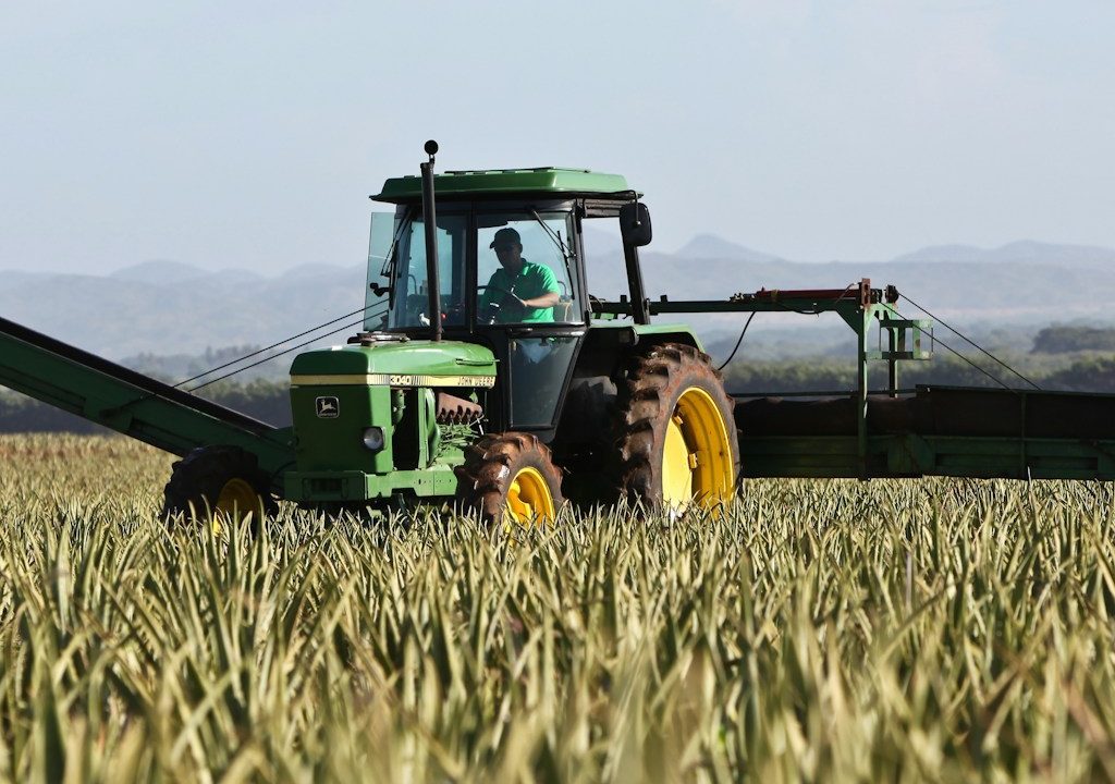 Politica agricola comune: verso la prossima riforma della PAC