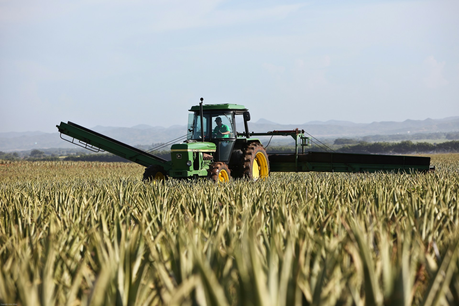 Politica agricola comune: verso la prossima riforma della PAC