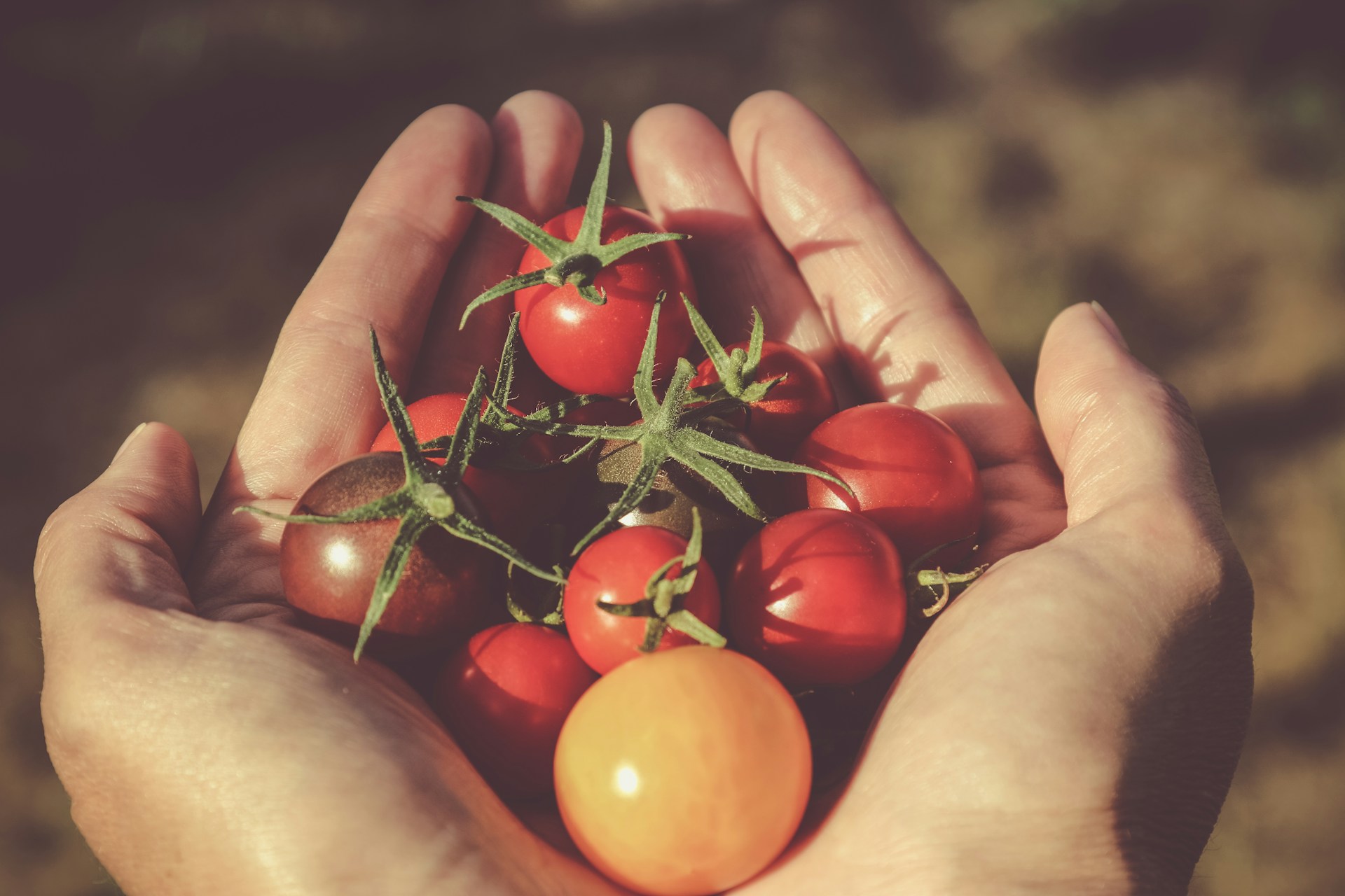 scarti alimentari