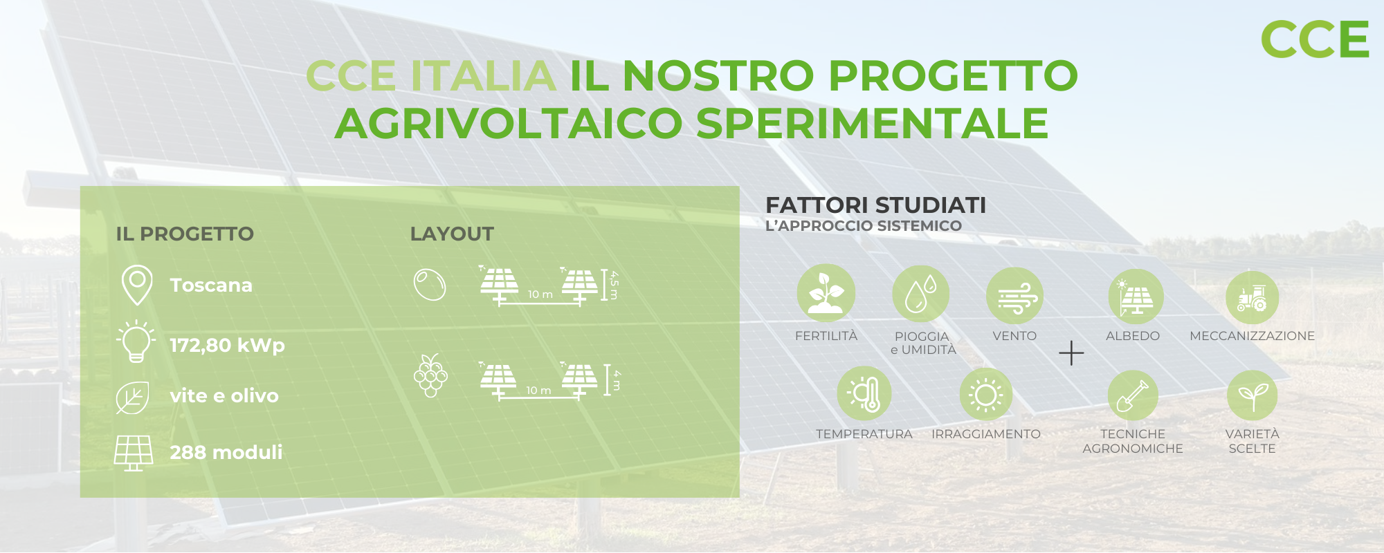 L’impegno di CCE Italia per la ricerca: il progetto sperimentale di agrivoltaico in Toscana su olivo e vite