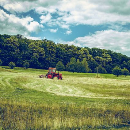 Rinnovabili • bioeconomia circolare