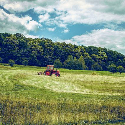 Rinnovabili • Agricoltura green per la salute degli ecosistemi