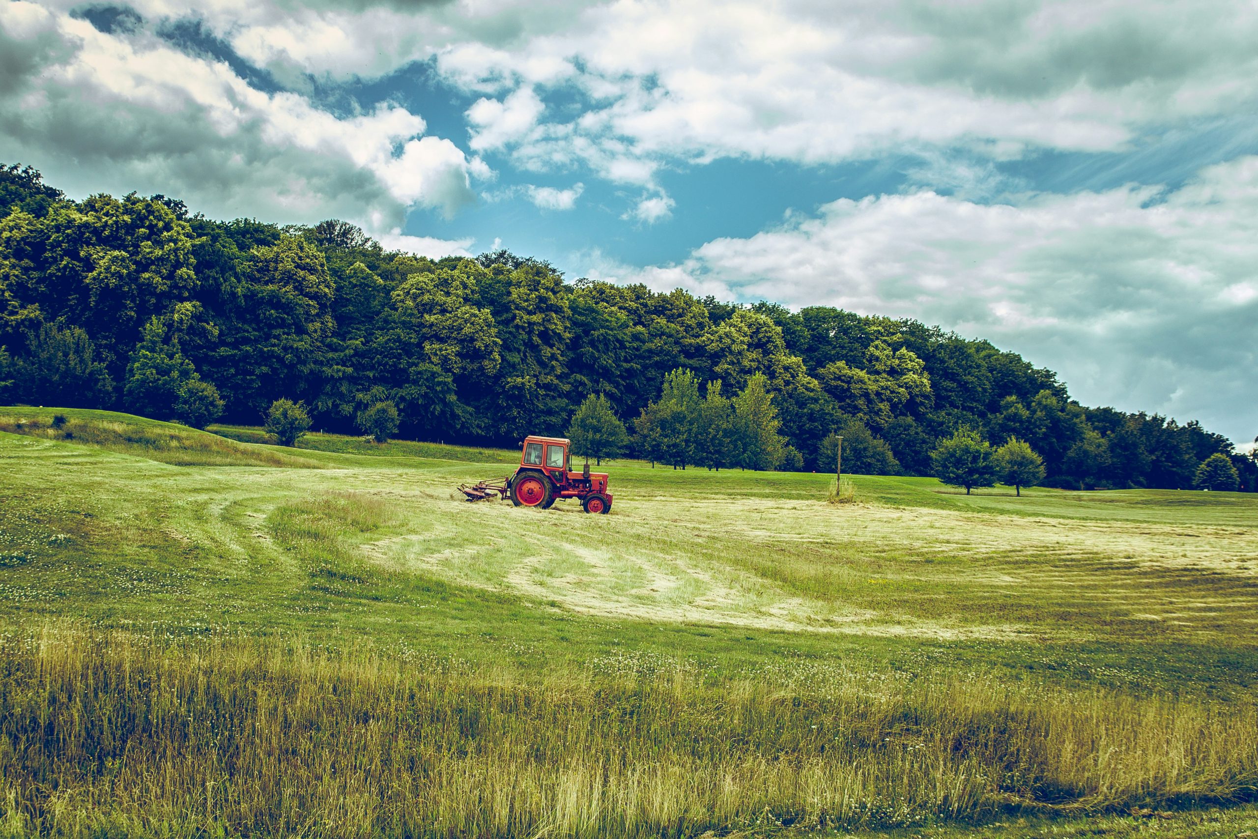 Agricoltura green per la salute degli ecosistemi