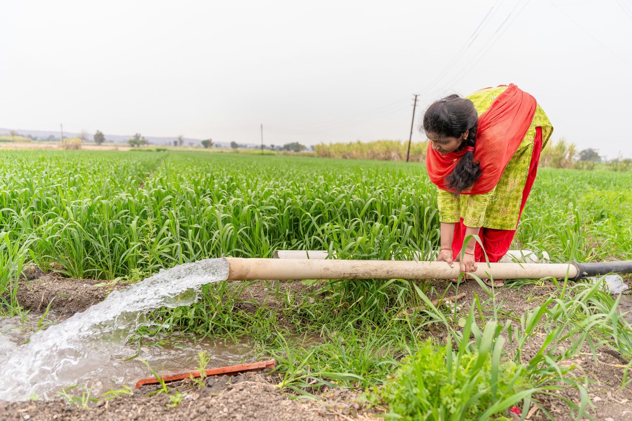 Rinnovabili • Stress idrico e agricoltura, la grande sfida dell’alimentazione globale