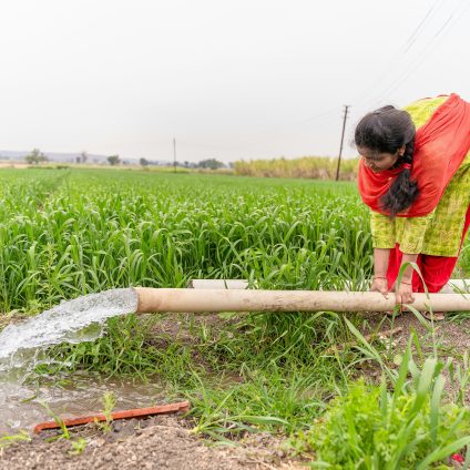 Rinnovabili • Stress idrico e agricoltura, la grande sfida dell’alimentazione globale