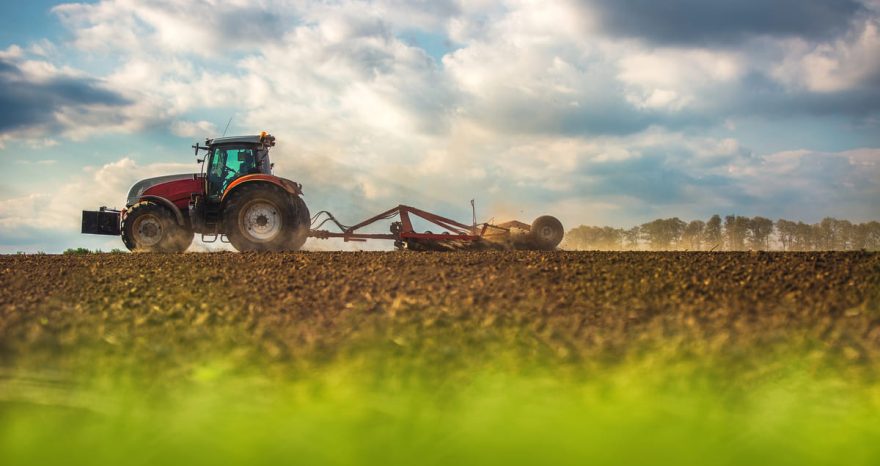 Rinnovabili • ETS Agricoltura: la proposta di EEB