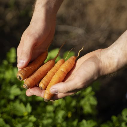 Rinnovabili • La transizione ecologica dell’agricoltura diventa agroecologica