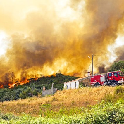 Rinnovabili • Incendi e cambiamento climatico: clima aumenta roghi del 15% in 20 anni