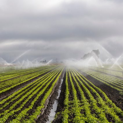 Rinnovabili • Forum Acqua, l’impronta idrica dell’agricoltura