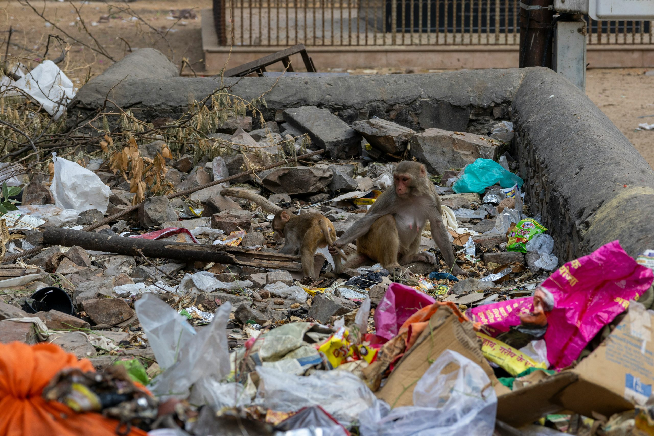 In India le donne creano lavoro dalla raccolta dei rifiuti in plastica