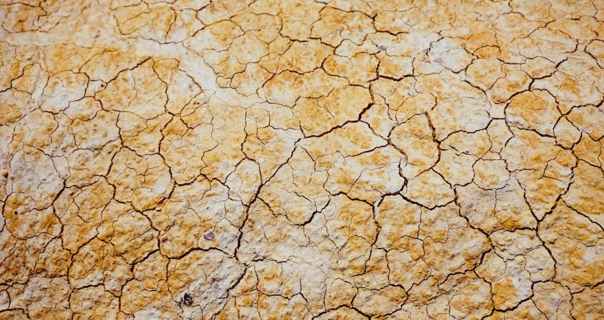 Rinnovabili • Siccità 2022 in Europa: 30% più intensa a causa della crisi climatica