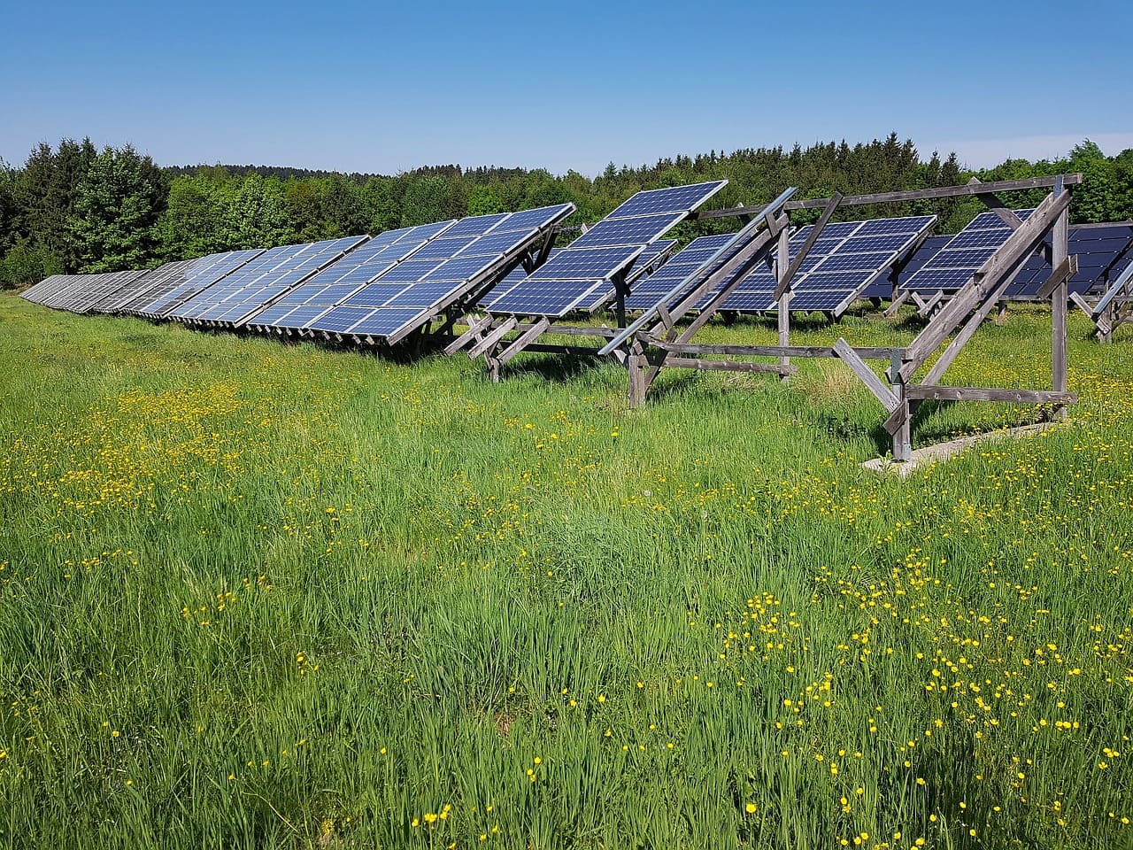 Quando si può parlare di fotovoltaico a impatto positivo per la natura?