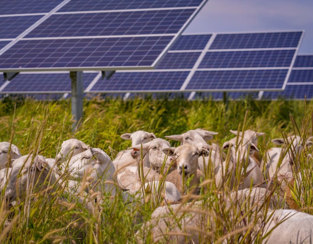 Fotovoltaico virtuale, risparmio reale: i vantaggi dell’energia solare anche senza impianto