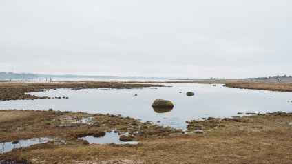 Rinnovabili • Il degrado delle torbiere compromette gli obiettivi climatici