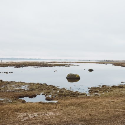 Rinnovabili • Il degrado delle torbiere compromette gli obiettivi climatici