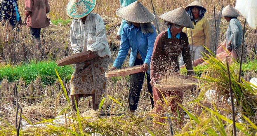 Rinnovabili • Parola d’ordine, diversificazione. Il nuovo corso delle aziende