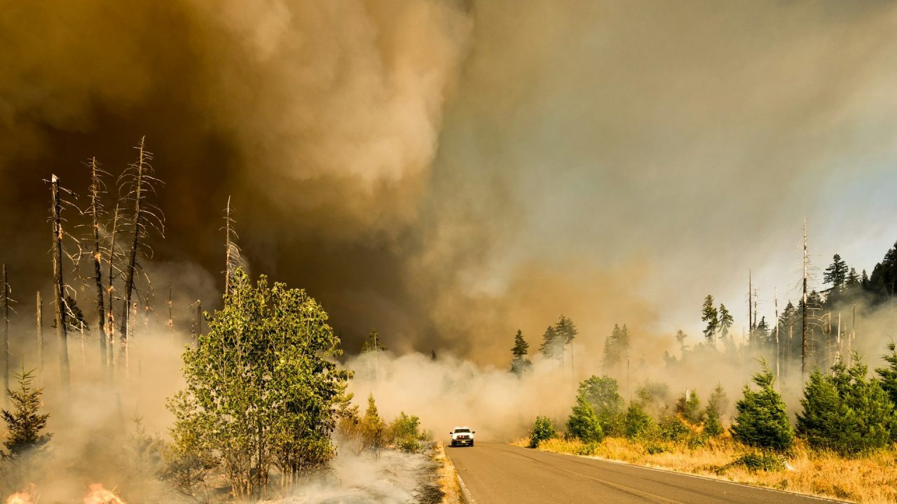 Rinnovabili • Inquinamento da incendi: 1,53 milioni di morti ogni anno