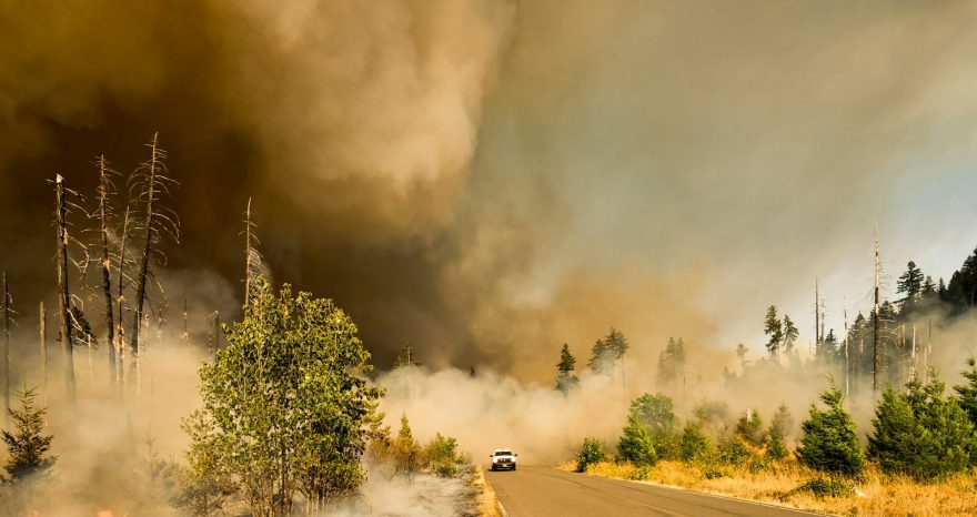 Rinnovabili • Inquinamento da incendi: 1,53 milioni di morti ogni anno