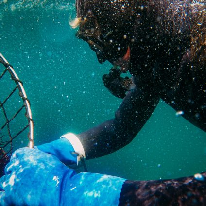 Rinnovabili • Acquacoltura in oceano aperto, una grande sfida per l’alimentazione globale