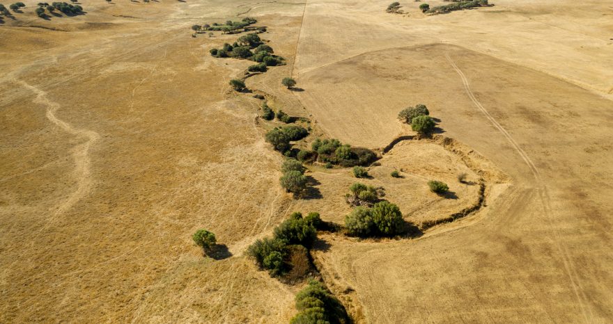 Rinnovabili • Danni da siccità, destinati 127 milioni di euro alle imprese agricole di Sud e Isole