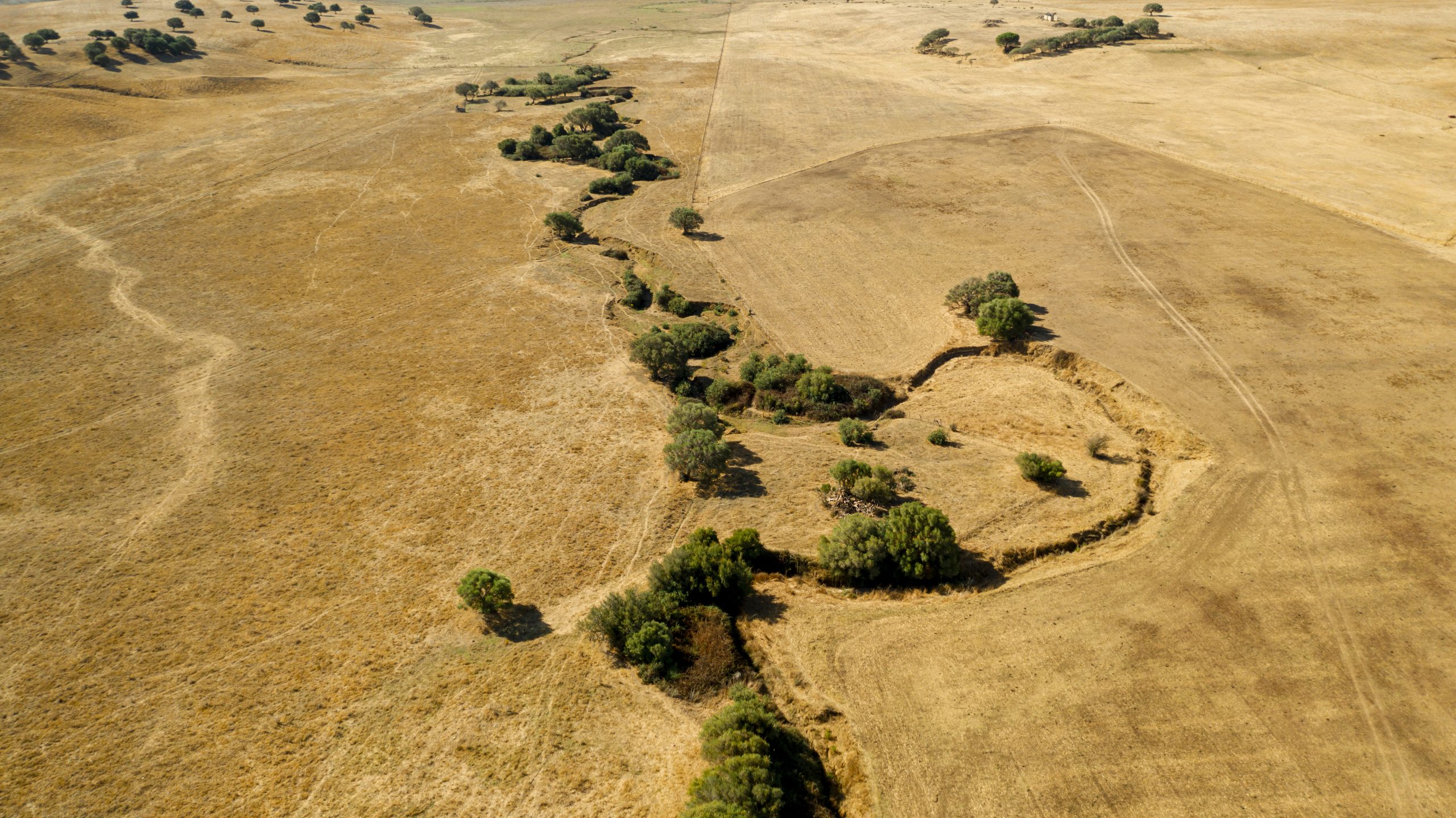 Rinnovabili • Danni da siccità, destinati 127 milioni di euro alle imprese agricole di Sud e Isole