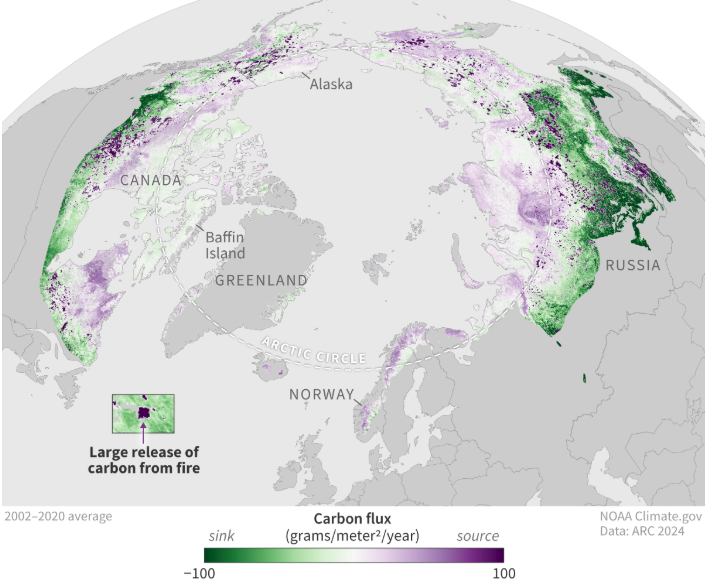 Tundra artica: ora emette più CO2 di quanta ne cattura