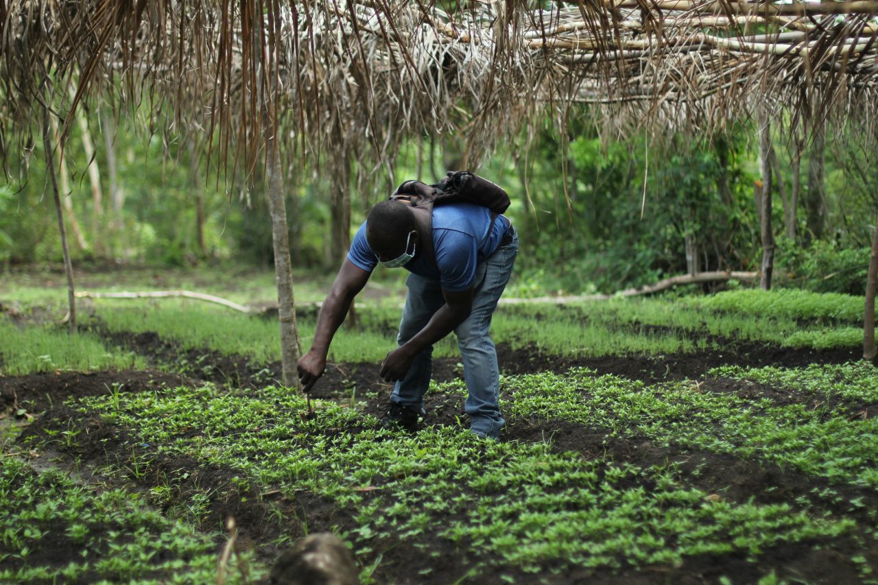 Rinnovabili • Le pompe di irrigazione a energia solare salvano l’agricoltura in Africa