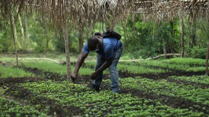 Rinnovabili • Le pompe di irrigazione a energia solare salvano l’agricoltura in Africa