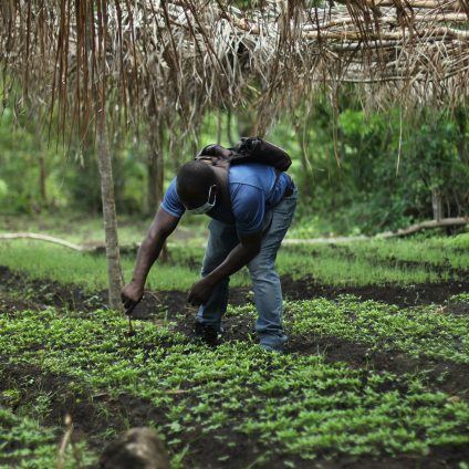 Rinnovabili • Le pompe di irrigazione a energia solare salvano l’agricoltura in Africa