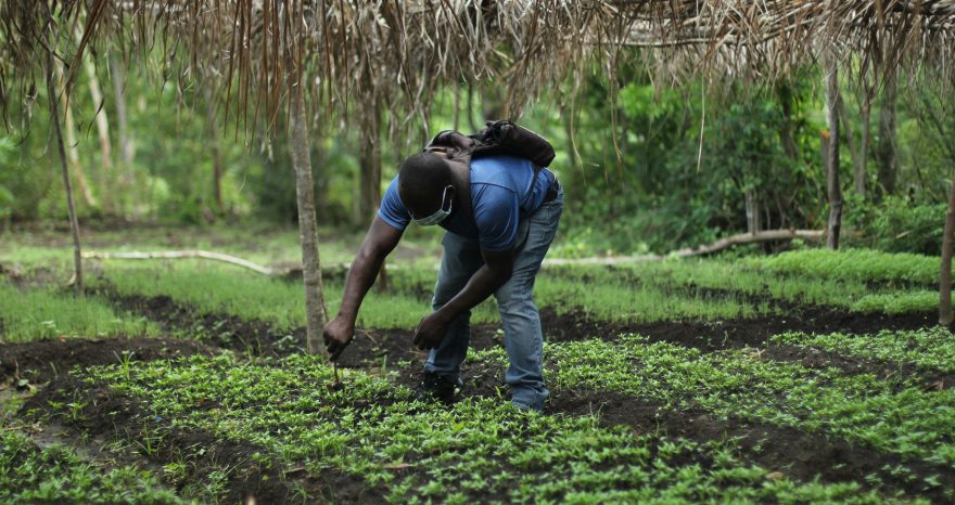 Rinnovabili • Le pompe di irrigazione a energia solare salvano l’agricoltura in Africa