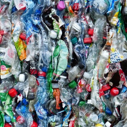 Rinnovabili • Riciclare i coloranti delle bottiglie di plastica rende il sistema più circolare