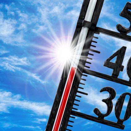 Rinnovabili • Riscaldamento globale Italia: 2024 sarà l’anno più caldo di sempre